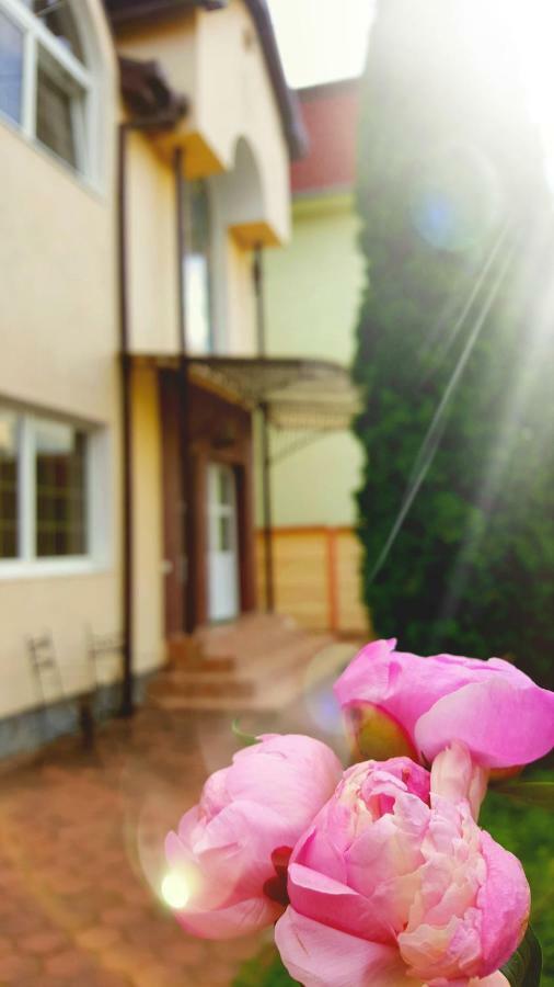 Vila Alfa Dumbrava Сібіу Екстер'єр фото